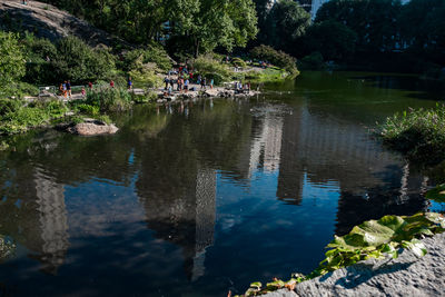 Reflection of trees in pond