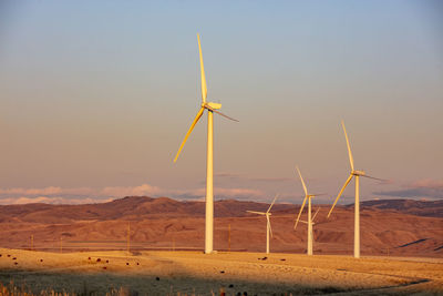 Wind turbines in a field with clear sky at sunset