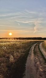 Scenic view of field against sky during sunset