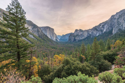 Scenic view of tree mountains against sky during sunset