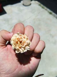 Close-up of hand holding flower