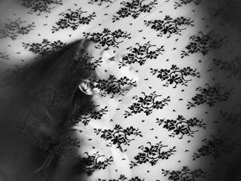 View of tree against sky