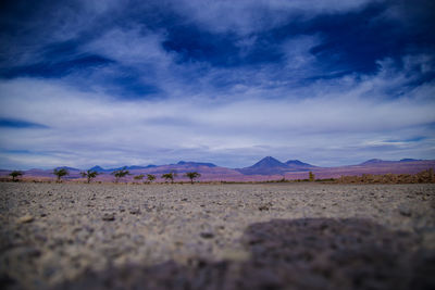 Surface level view of landscape against sky