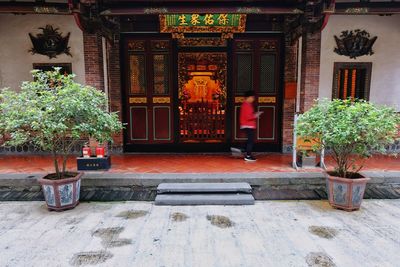 Potted plants outside temple