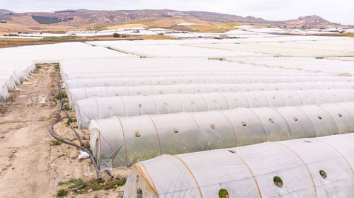 High angle view of agricultural field