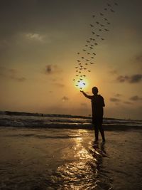 Rear view of silhouette man standing at beach during sunset