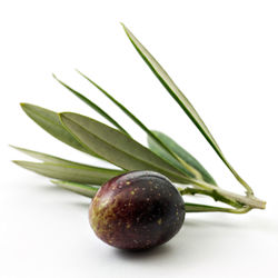 Close-up of fruit against white background