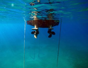 Reflection of person swimming in pool