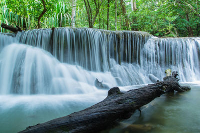 Scenic view of waterfall in forest