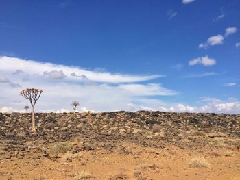 Scenic view of landscape against cloudy sky