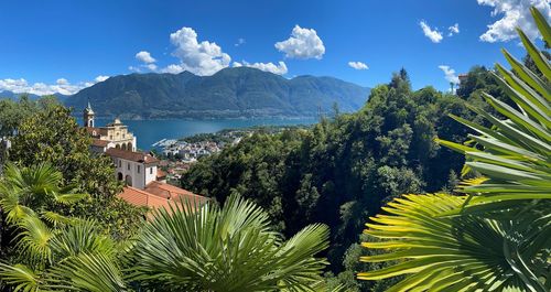 Scenic view of palm trees and mountains against sky
