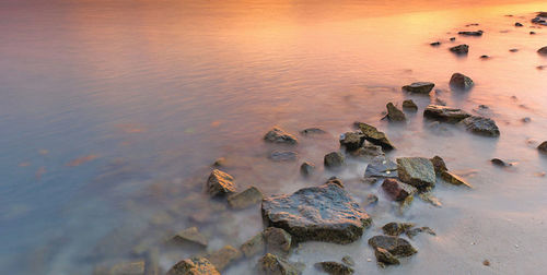 High angle view of rocks at beach during sunset