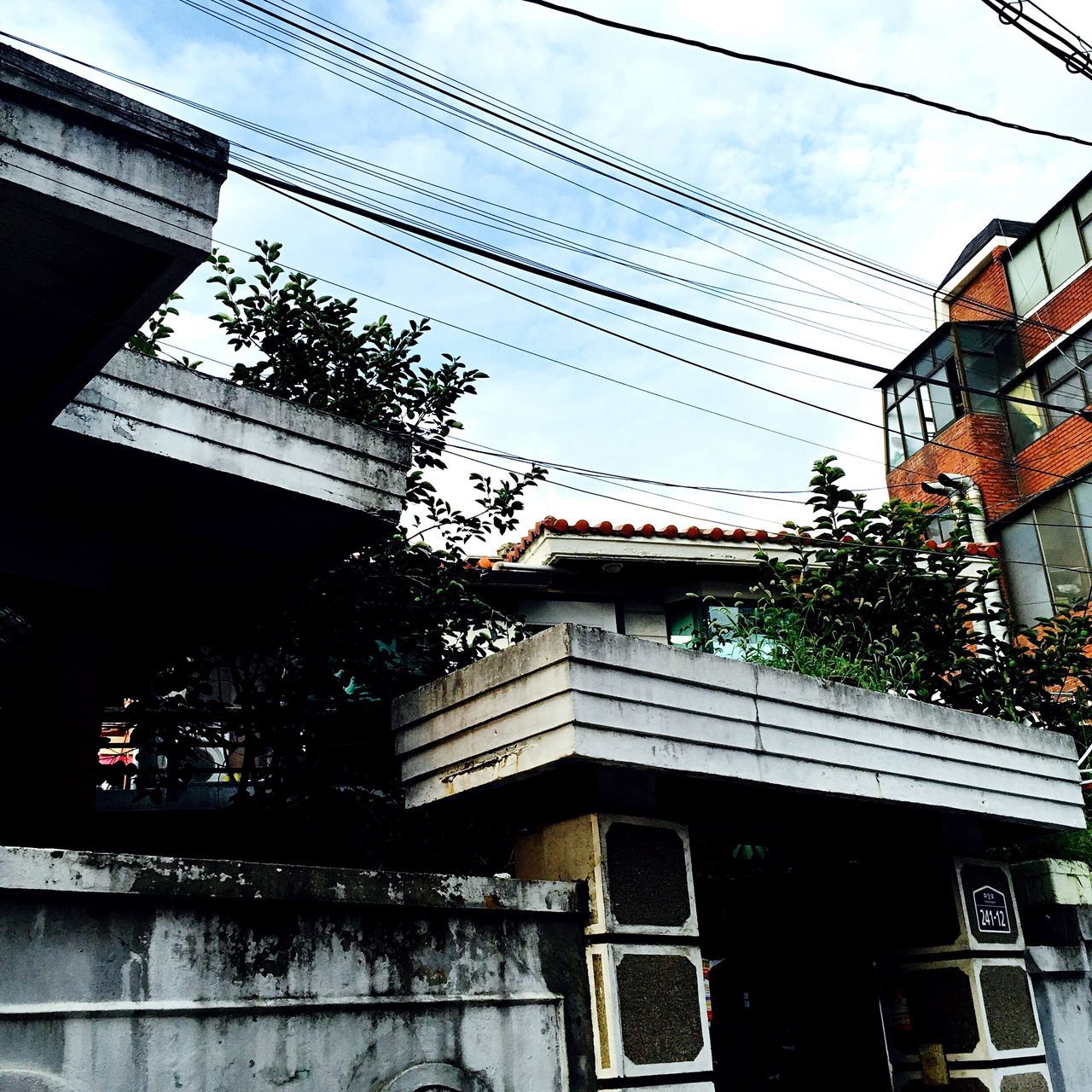 building exterior, architecture, built structure, power line, low angle view, residential building, cable, residential structure, tree, city, building, sky, power supply, outdoors, power cable, day, no people, city life, apartment, residential district, growth, cloud, nature