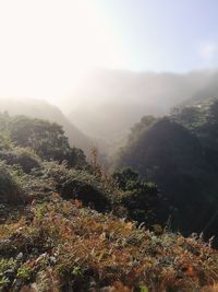 Aerial view of landscape against sky