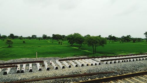 Scenic view of field against clear sky