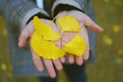 Midsection of person holding autumn leaves