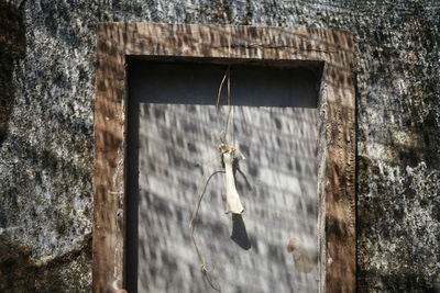 Low angle view of bird hanging on old building