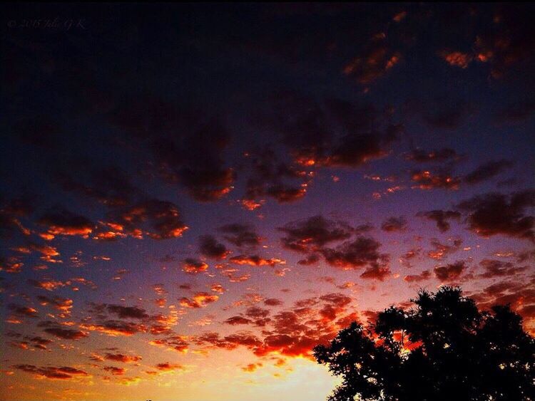 sunset, tree, scenics, silhouette, orange color, tranquil scene, tranquility, beauty in nature, sky, nature, cloud - sky, outdoors, sun, majestic, no people, atmospheric mood, non-urban scene, dramatic sky, outline, cloudy