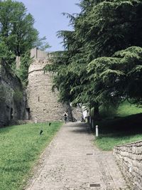 Footpath amidst trees and plants against sky