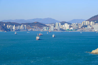 Sailboats in sea with city in background