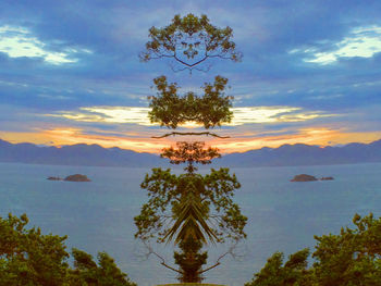 Tree by lake against sky during sunset