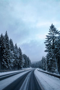 Road amidst trees against sky during winter