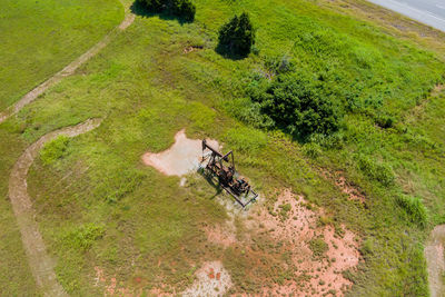 High angle view of agricultural field