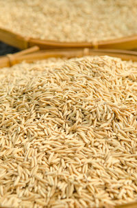 Close-up of rice