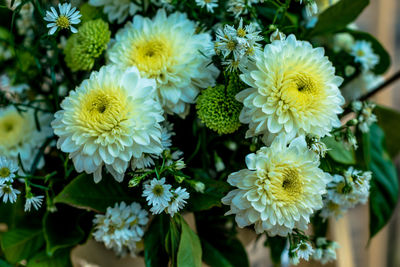 Close-up of yellow flowers