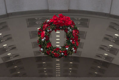 Close-up of flowers in vase
