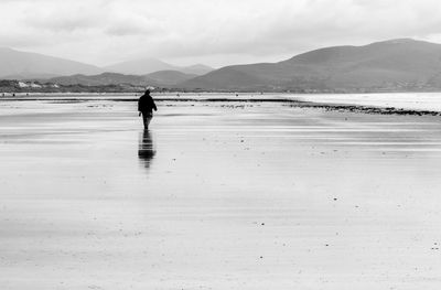 Rear view of man on beach against sky