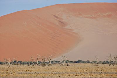 Huge sand dune