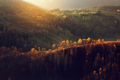 High angle view of trees on landscape against sky