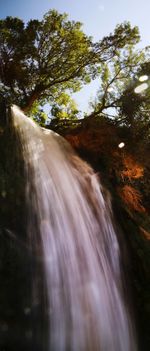 Low angle view of waterfall in forest