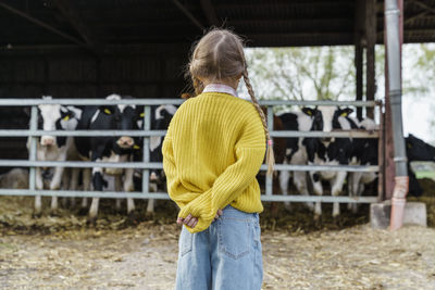 Girl wearing pigtails standing in front of cow farm