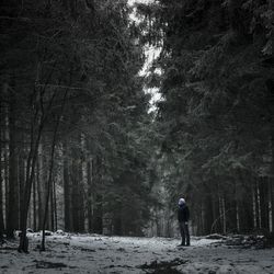 Rear view of man walking on snow covered forest