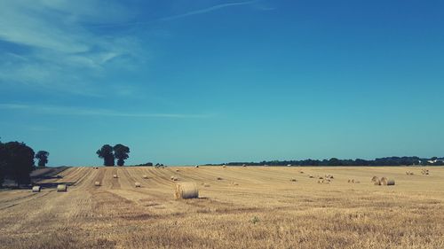 Hay bales on field against blue sky