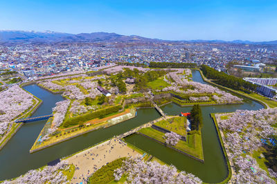 Goryokaku star fort park in springtime cherry blossom. sakura flowers in hakodate, hokkaido, japan