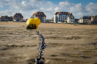 Buoy at beach