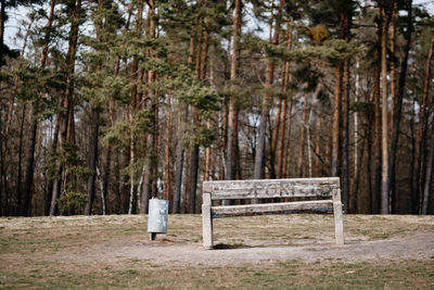 Rear view of man standing on bench in forest