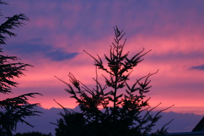 Low angle view of cloudy sky at sunset