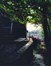 View of cemetery against trees