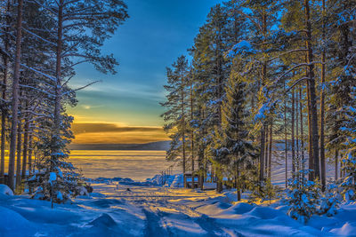 Scenic view of sea against sky during sunset