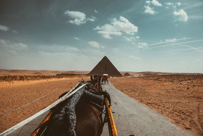Horse cart on road against sky