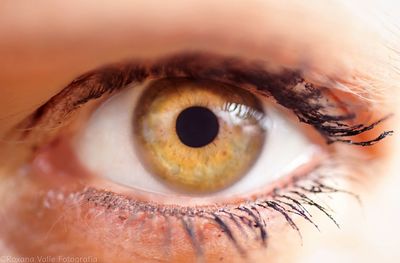 Close-up portrait of woman eye