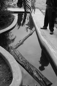 Low section of people in swimming pool