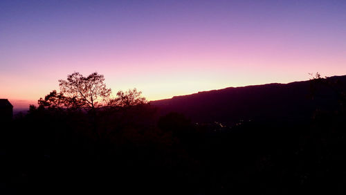 Silhouette trees against clear sky during sunset