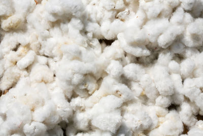 Full frame shot of ice cream