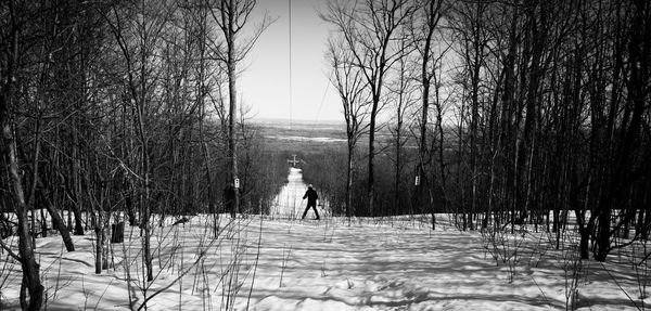 Man standing on snow covered trees against sky