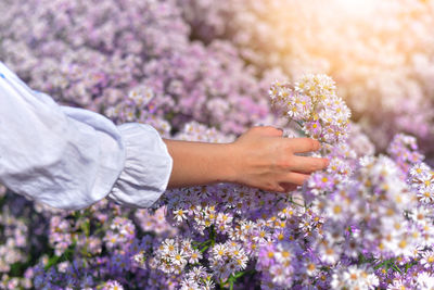 Low angle view of woman holding bouquet of flowering plant